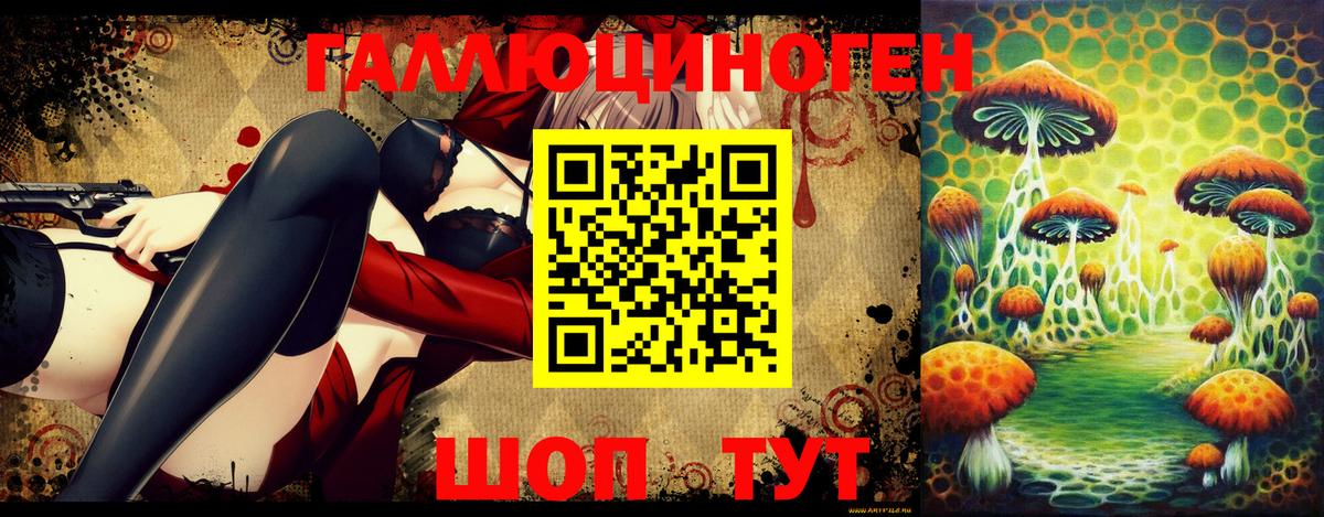 Галлюциногенные грибы прущие грибы  Вход с VPN  Клин  Псилоцибиновые грибы Psilocybine cubensis 